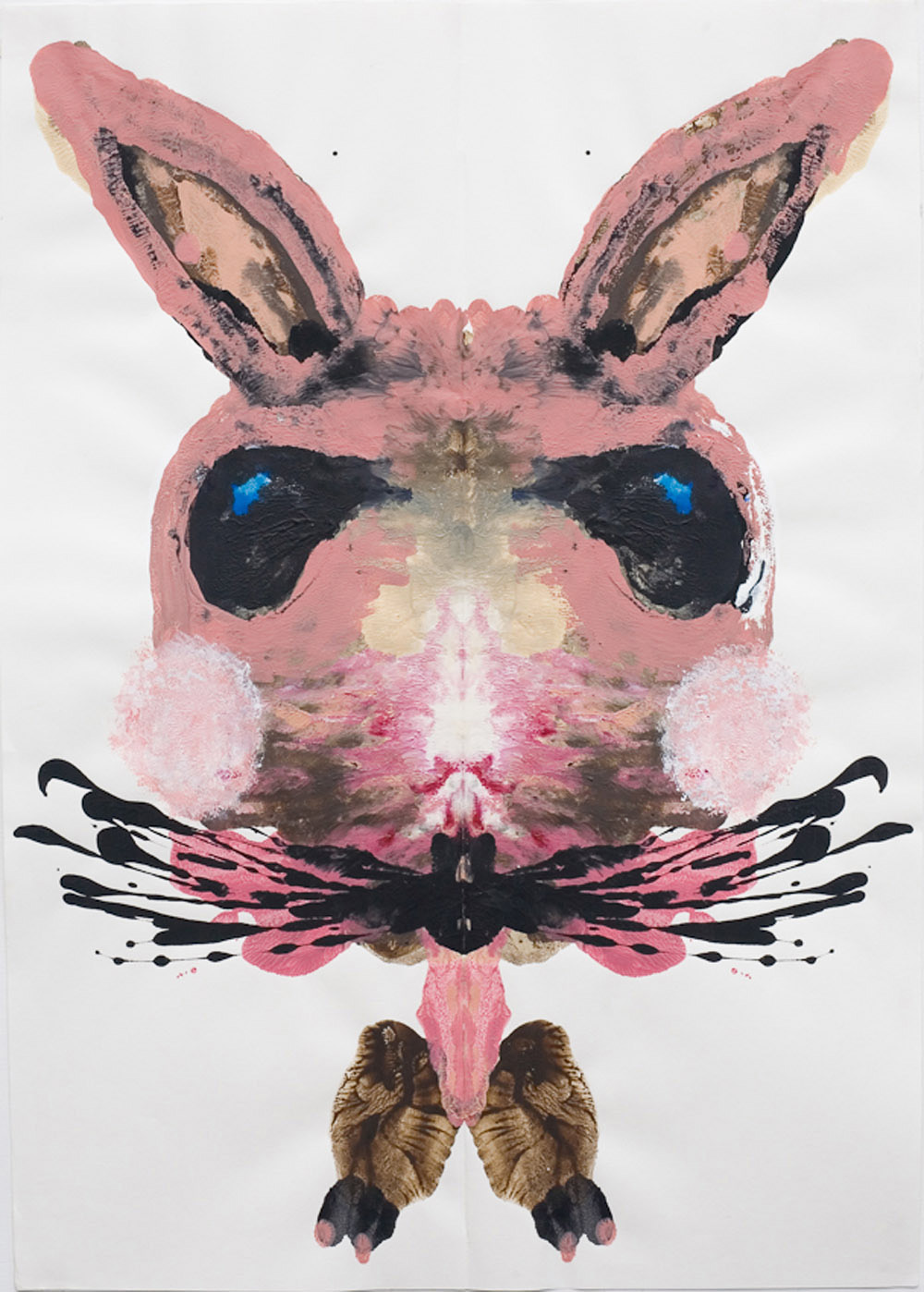 Rabbit 20